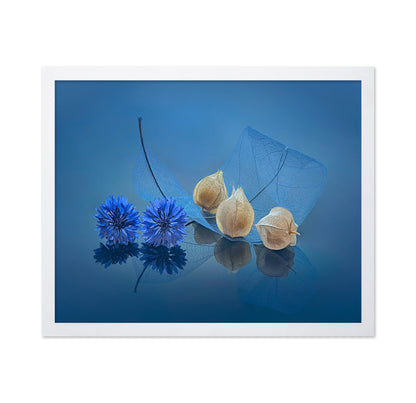 Blue Cornflowers and Physalis
