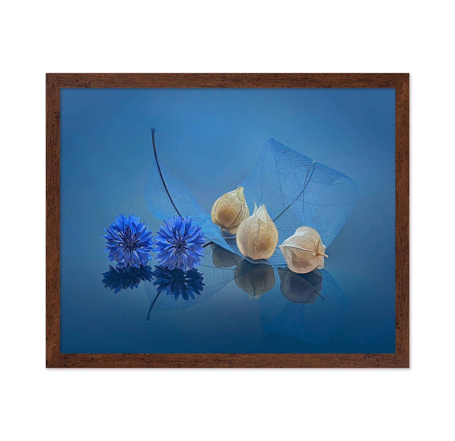 Blue Cornflowers and Physalis