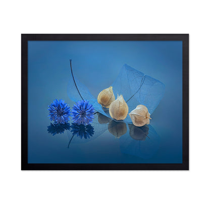 Blue Cornflowers and Physalis
