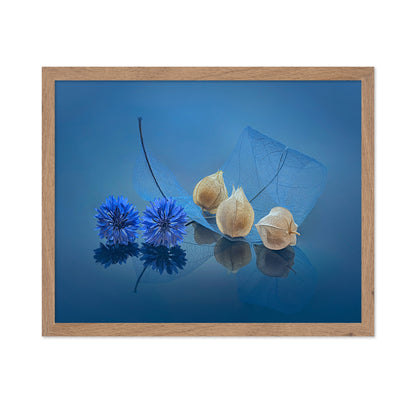 Blue Cornflowers and Physalis