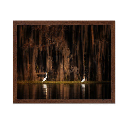 Creatures of Caddo Lake