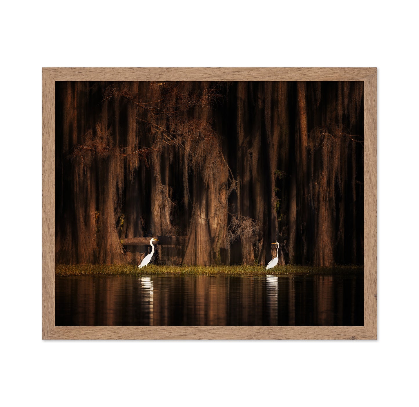 Creatures of Caddo Lake