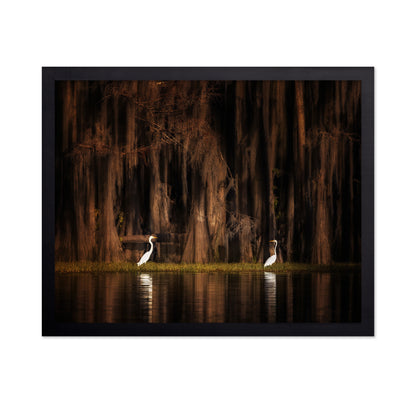 Creatures of Caddo Lake