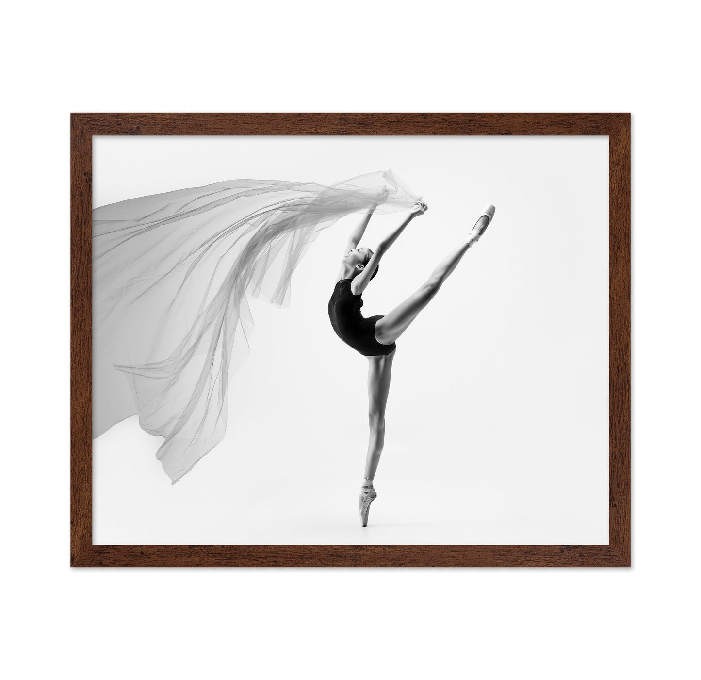 Flying Cloth Ballerina