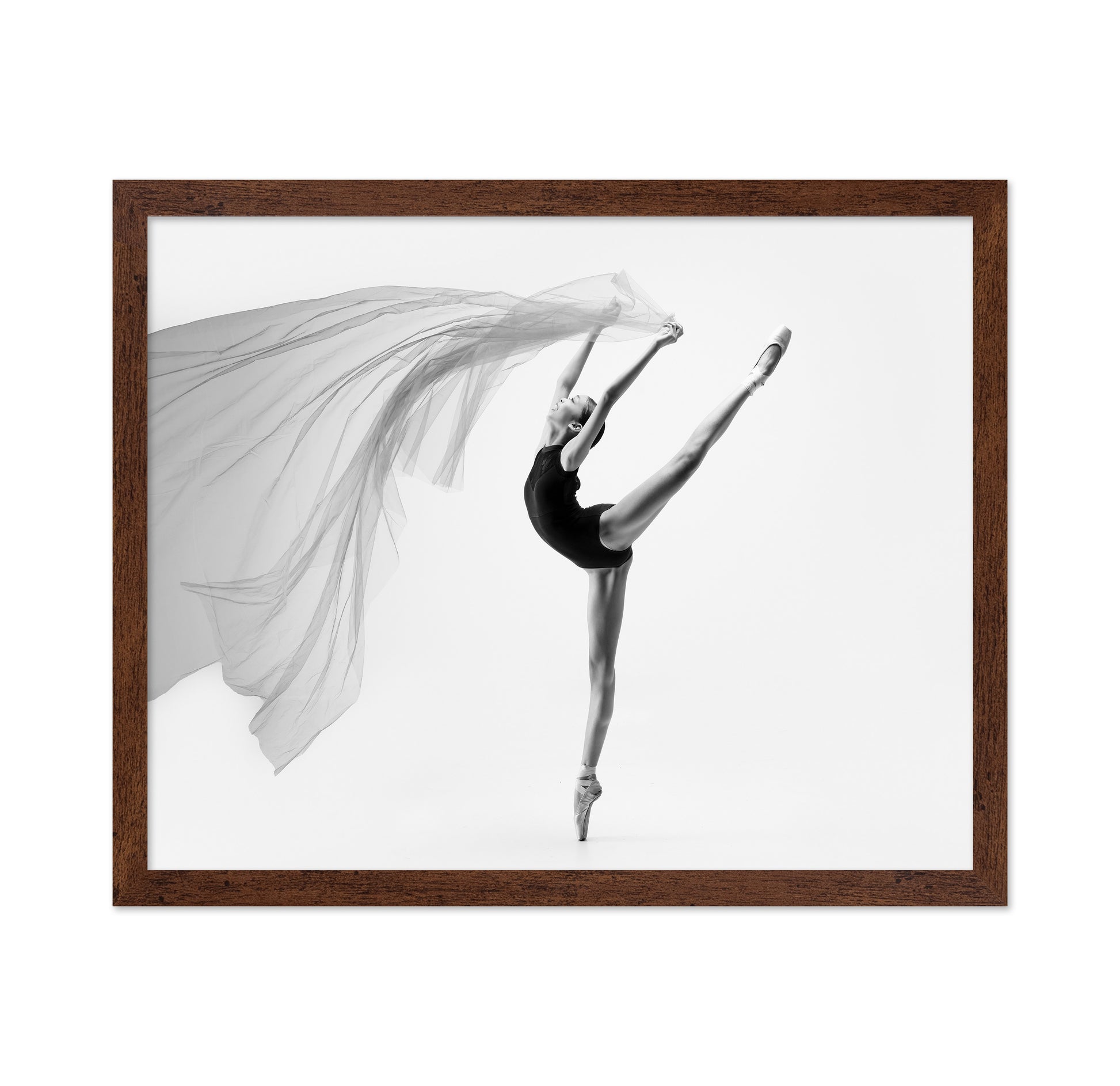 Flying Cloth Ballerina