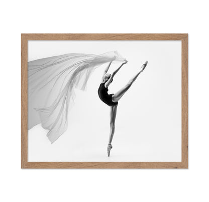 Flying Cloth Ballerina