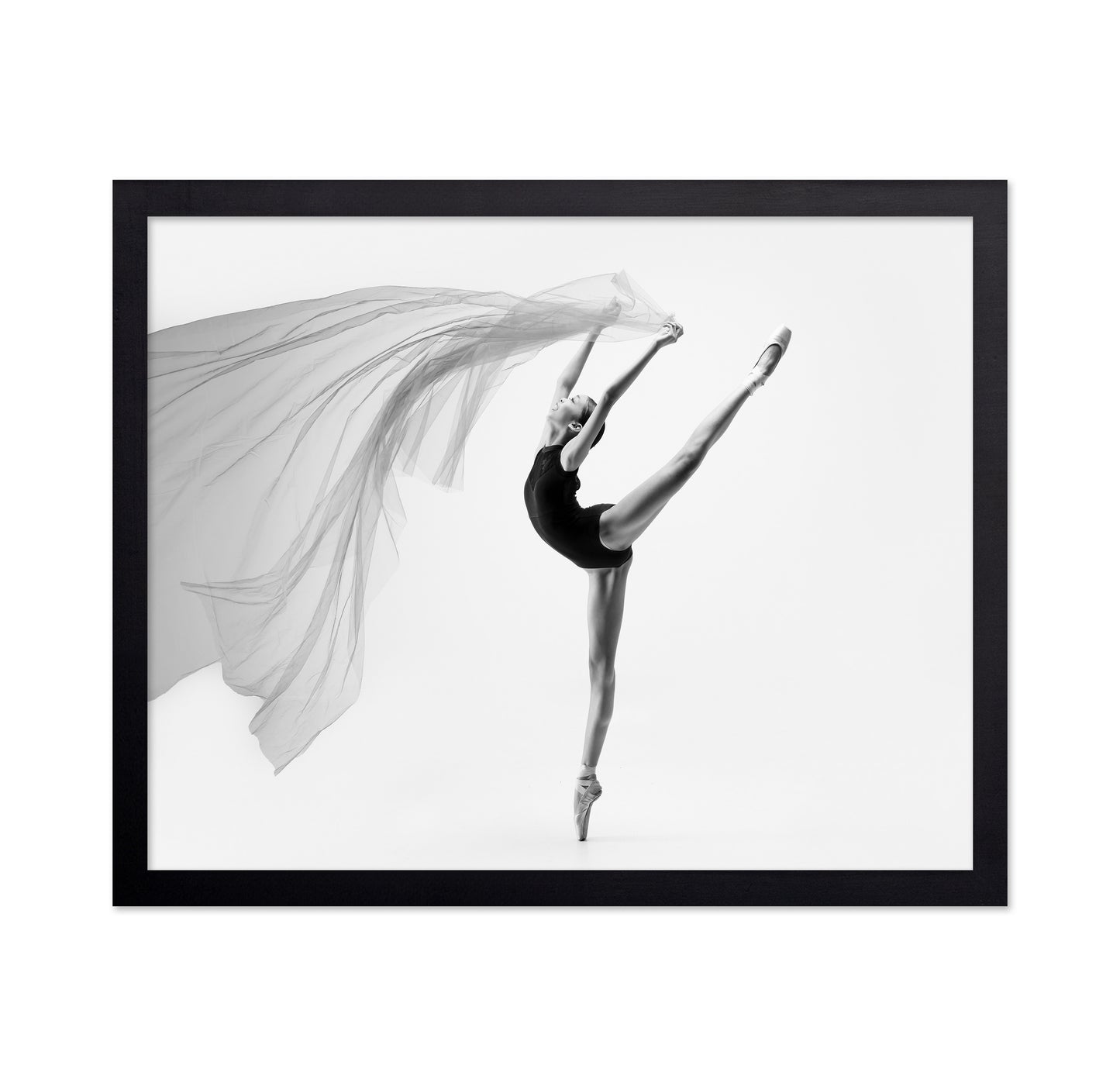 Flying Cloth Ballerina