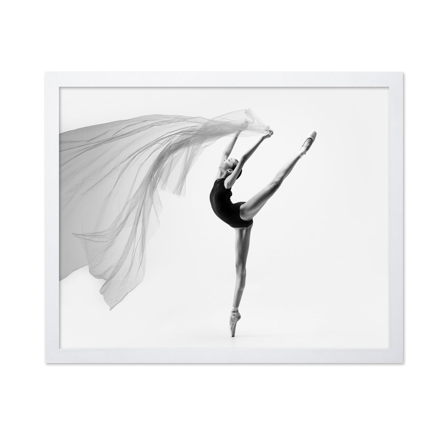 Flying Cloth Ballerina