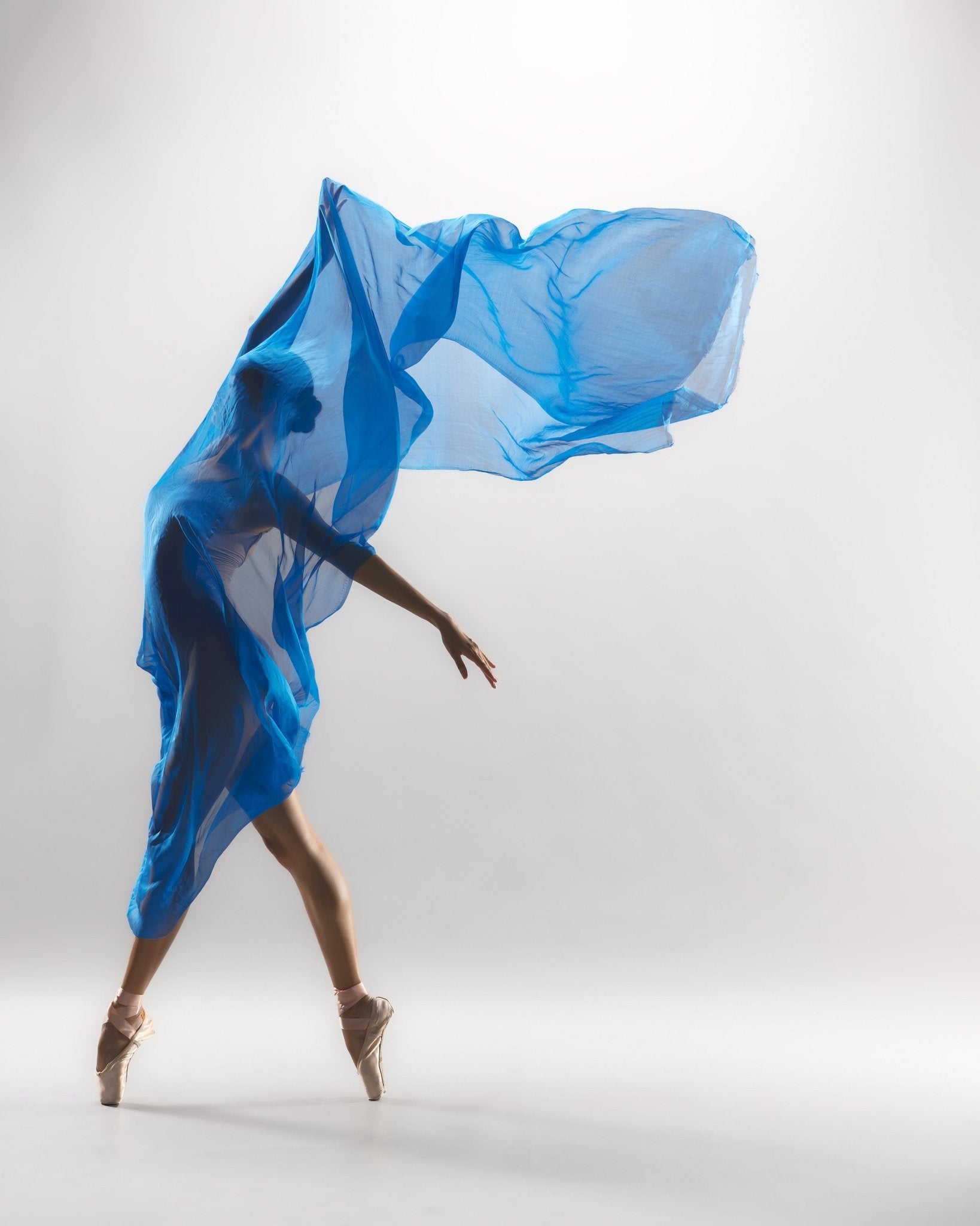 Elegance in Motion No 2