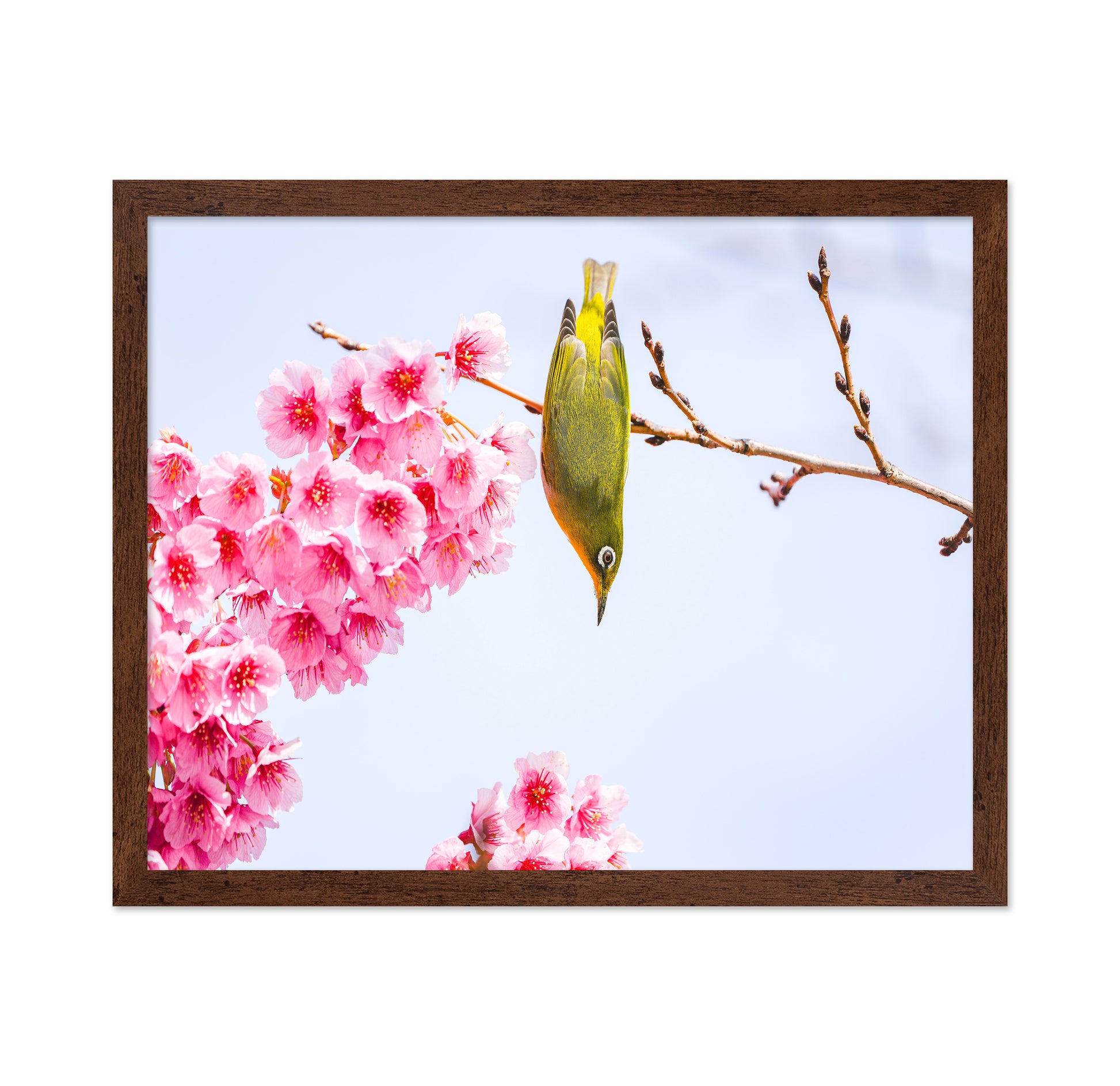 Early Spring