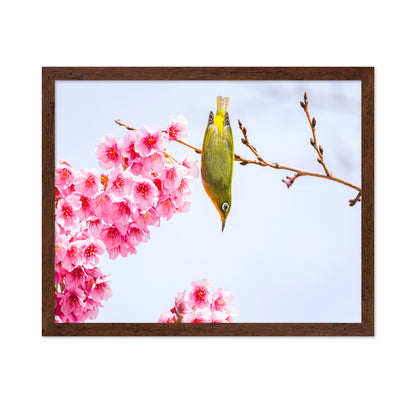 Early Spring
