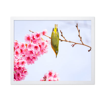 Early Spring