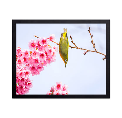 Early Spring