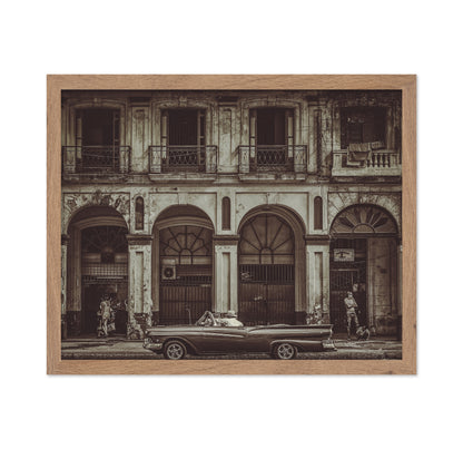 Habana Street No 5