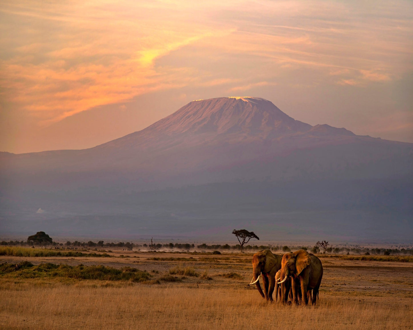 Majestic Sunrise at Mount Kilimanjaro
