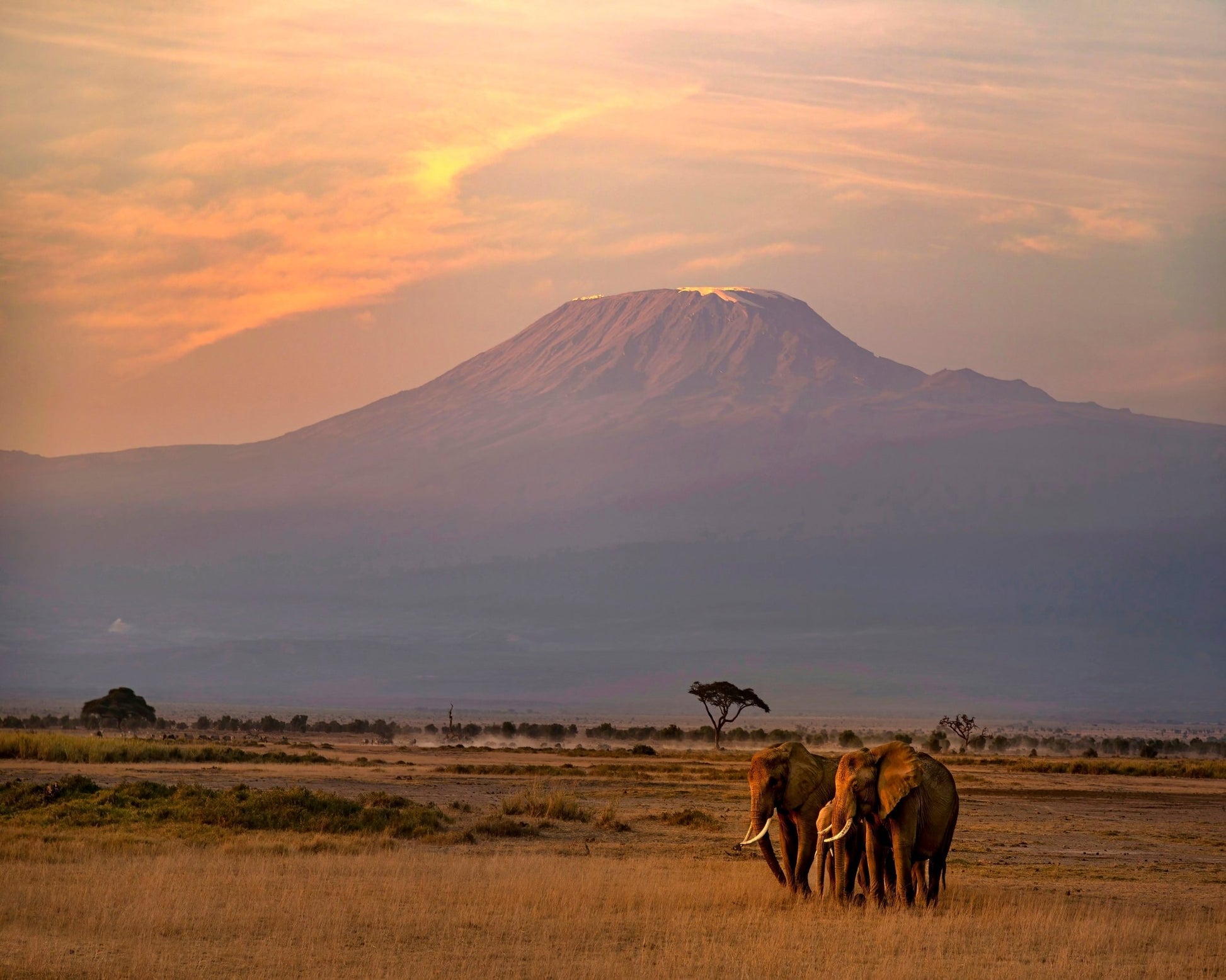 Majestic Sunrise at Mount Kilimanjaro