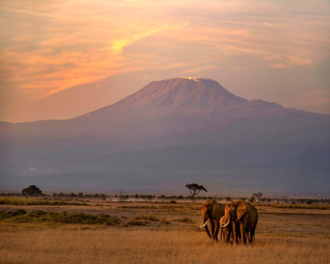 Majestic Sunrise at Mount Kilimanjaro
