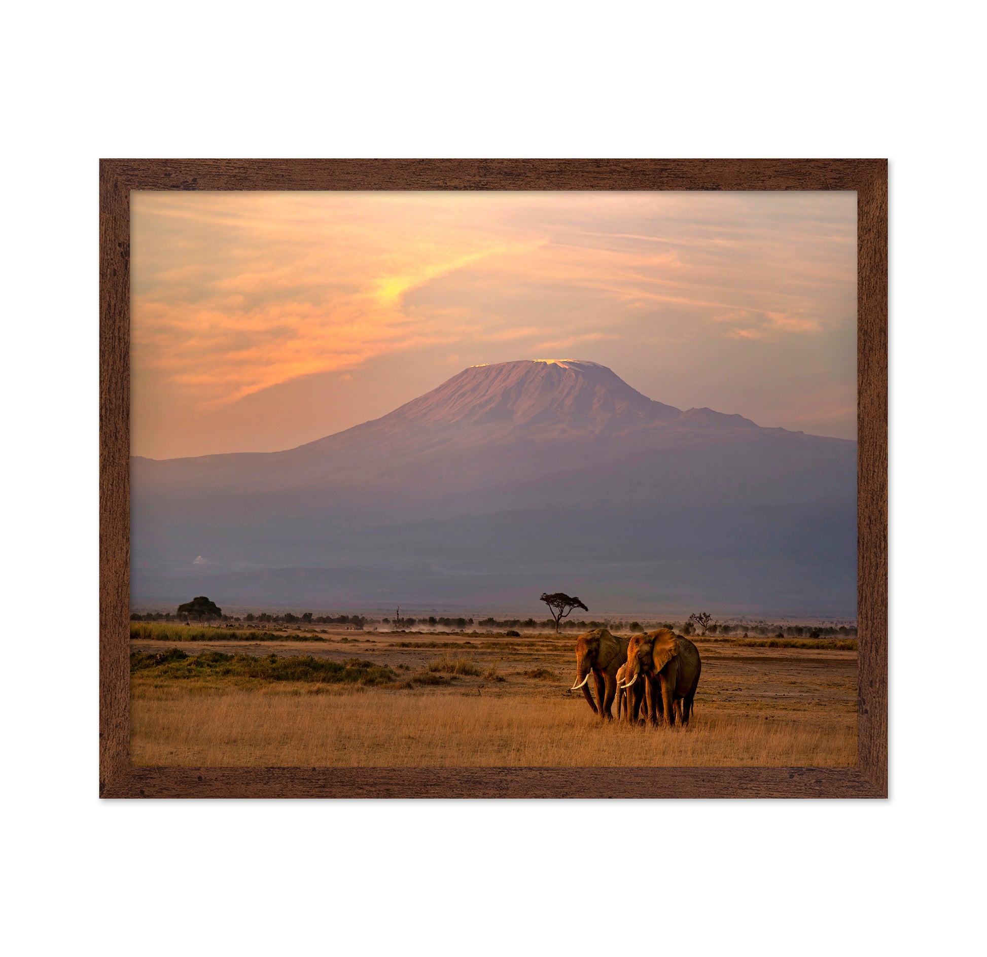 Majestic Sunrise at Mount Kilimanjaro