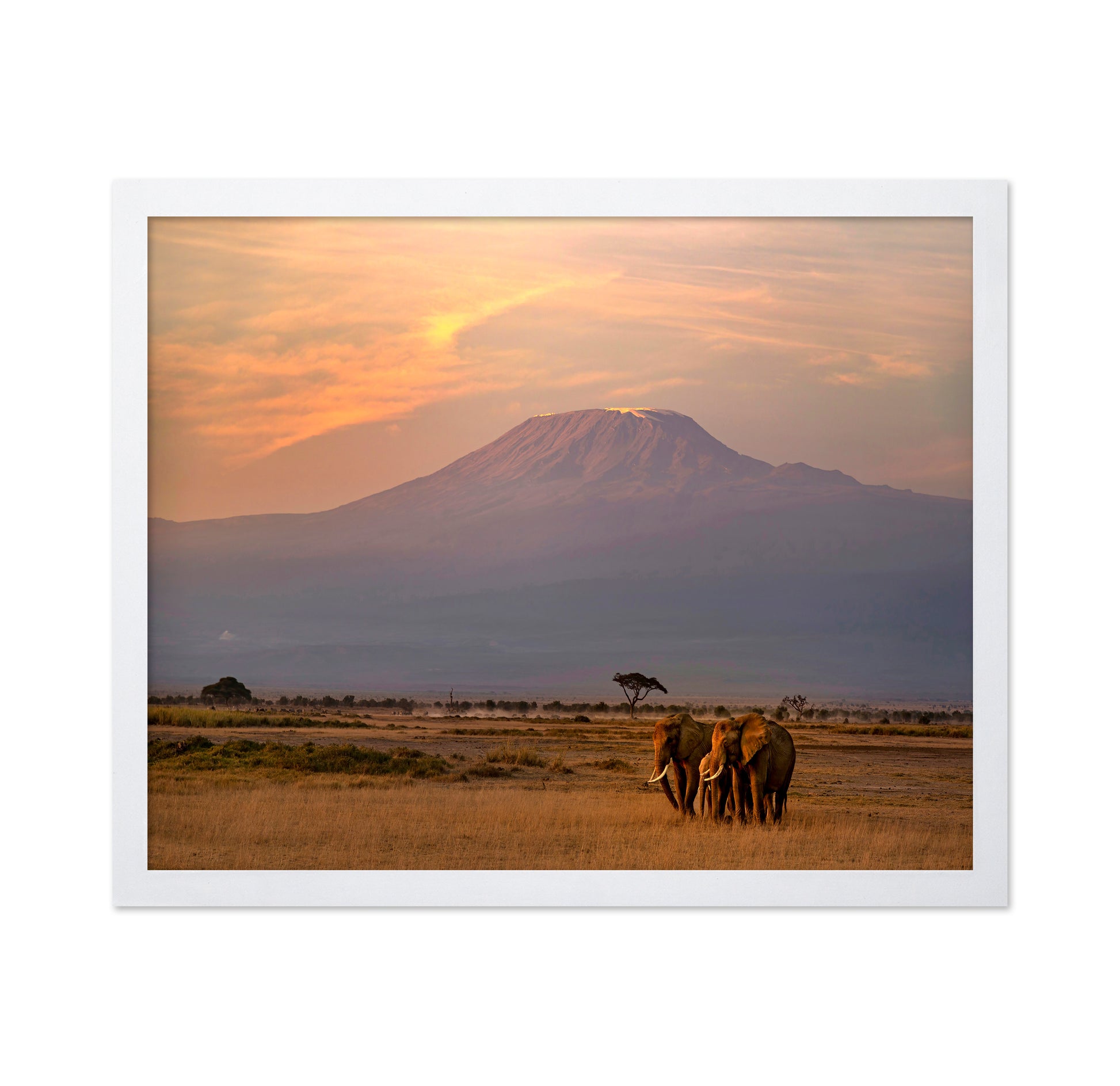 Majestic Sunrise at Mount Kilimanjaro