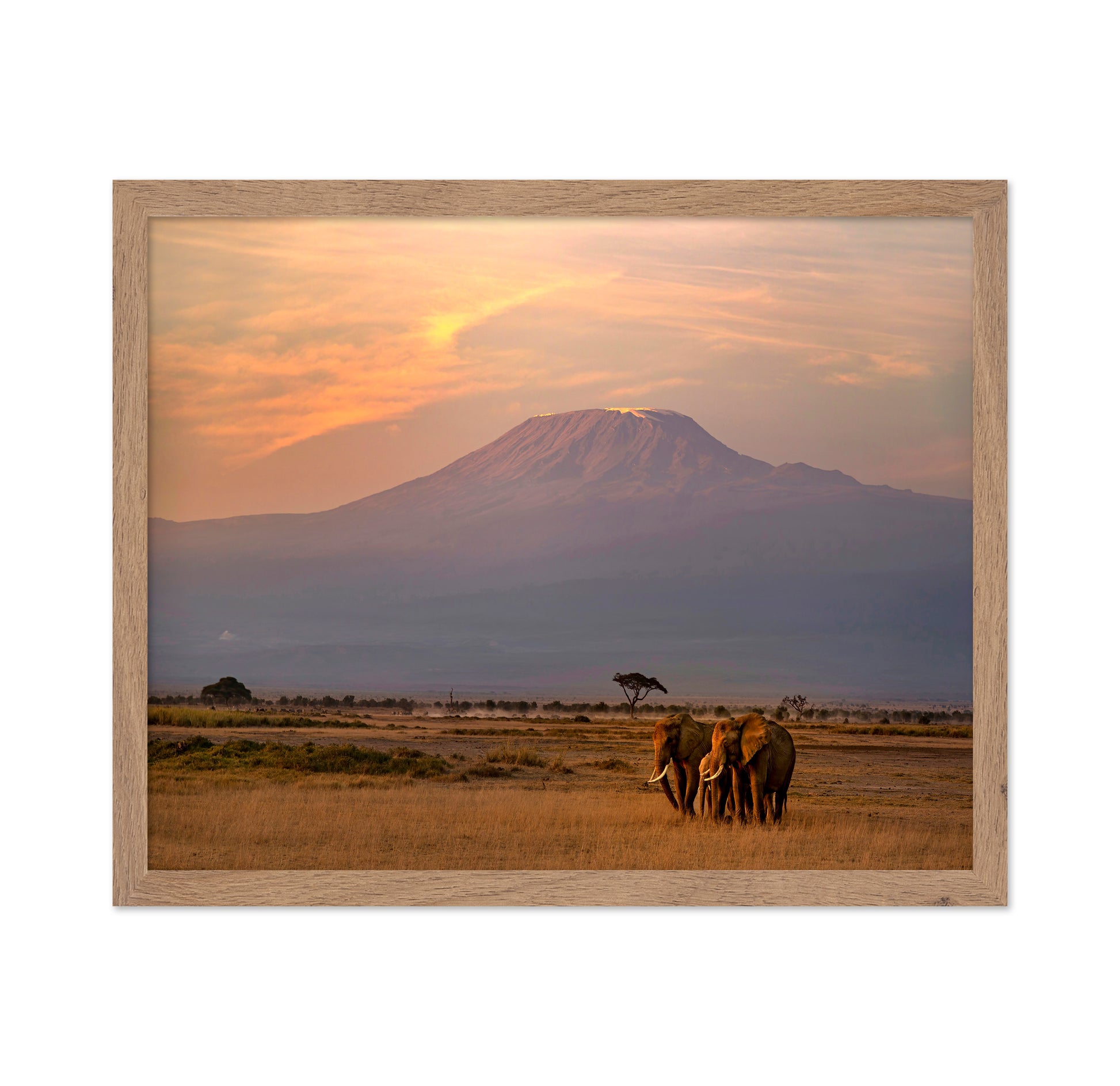 Majestic Sunrise at Mount Kilimanjaro