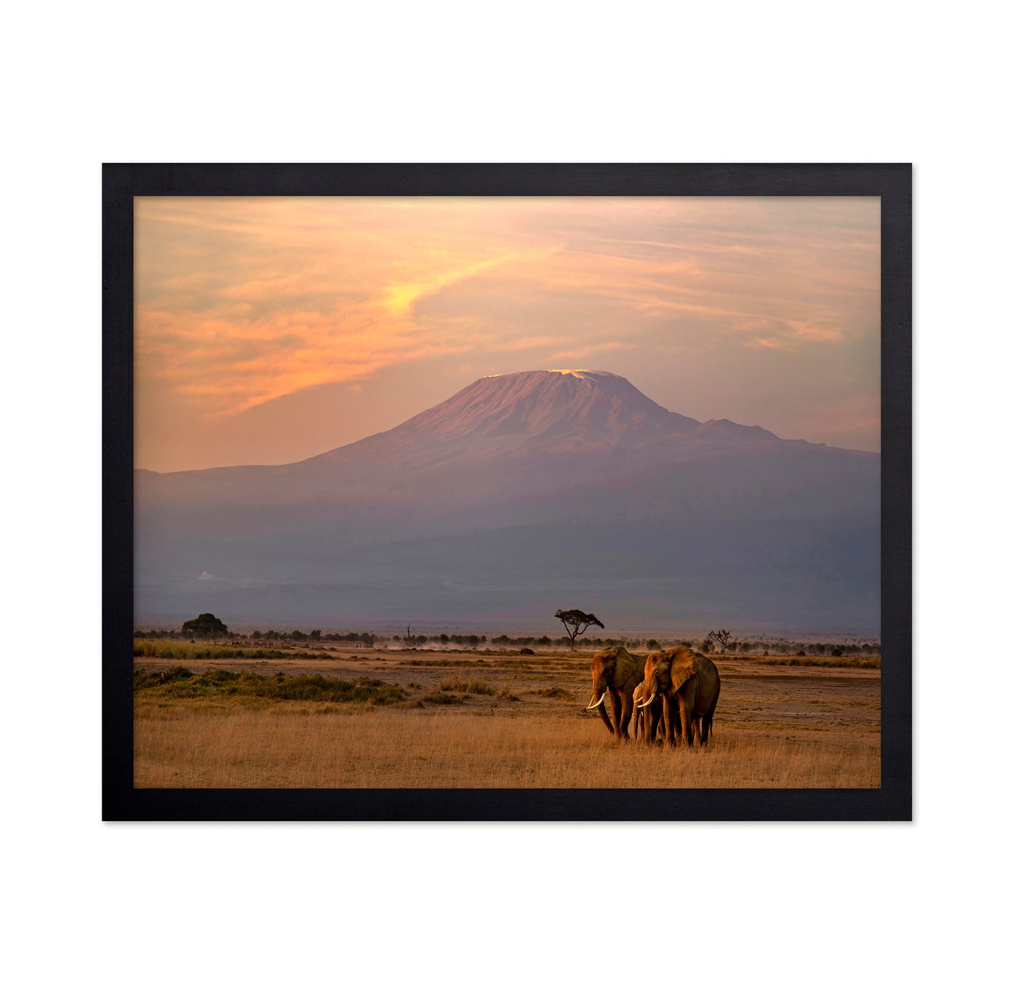 Majestic Sunrise at Mount Kilimanjaro