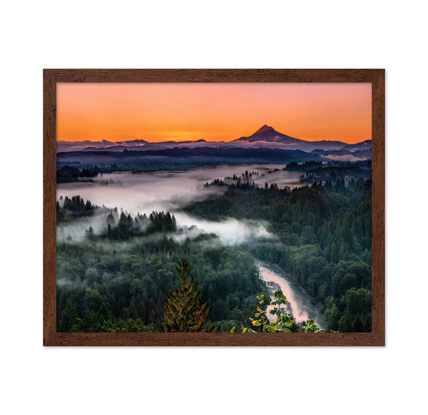 The Sandy River Canyon