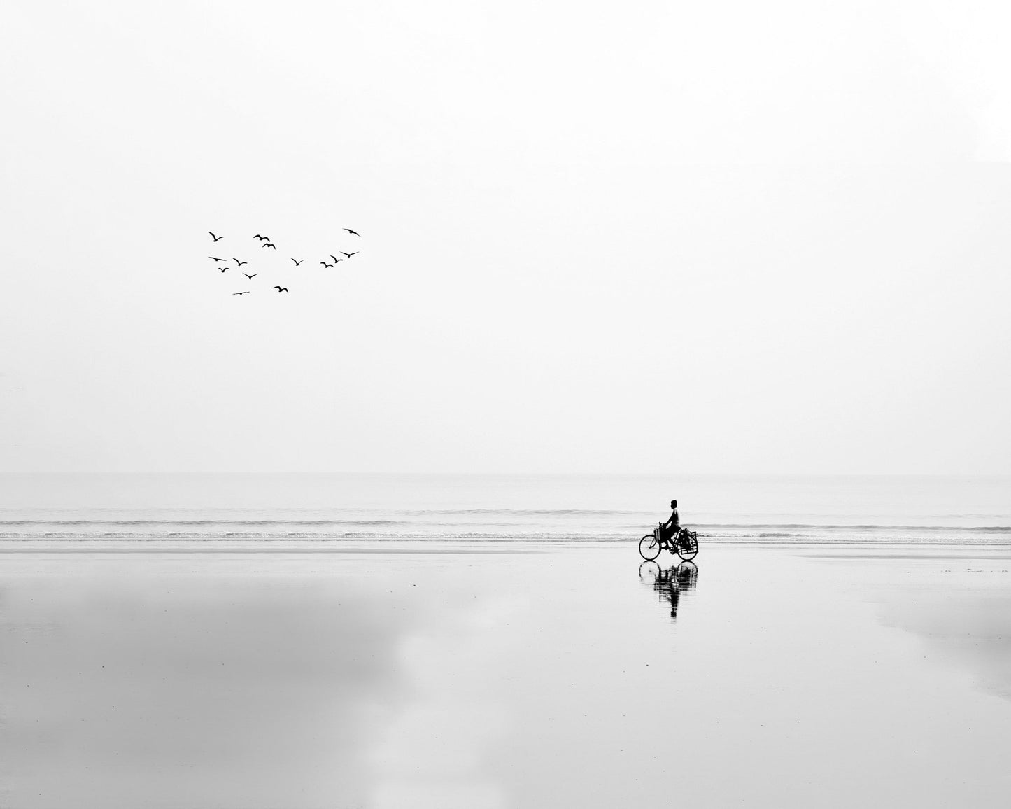 Cycle and the Birds