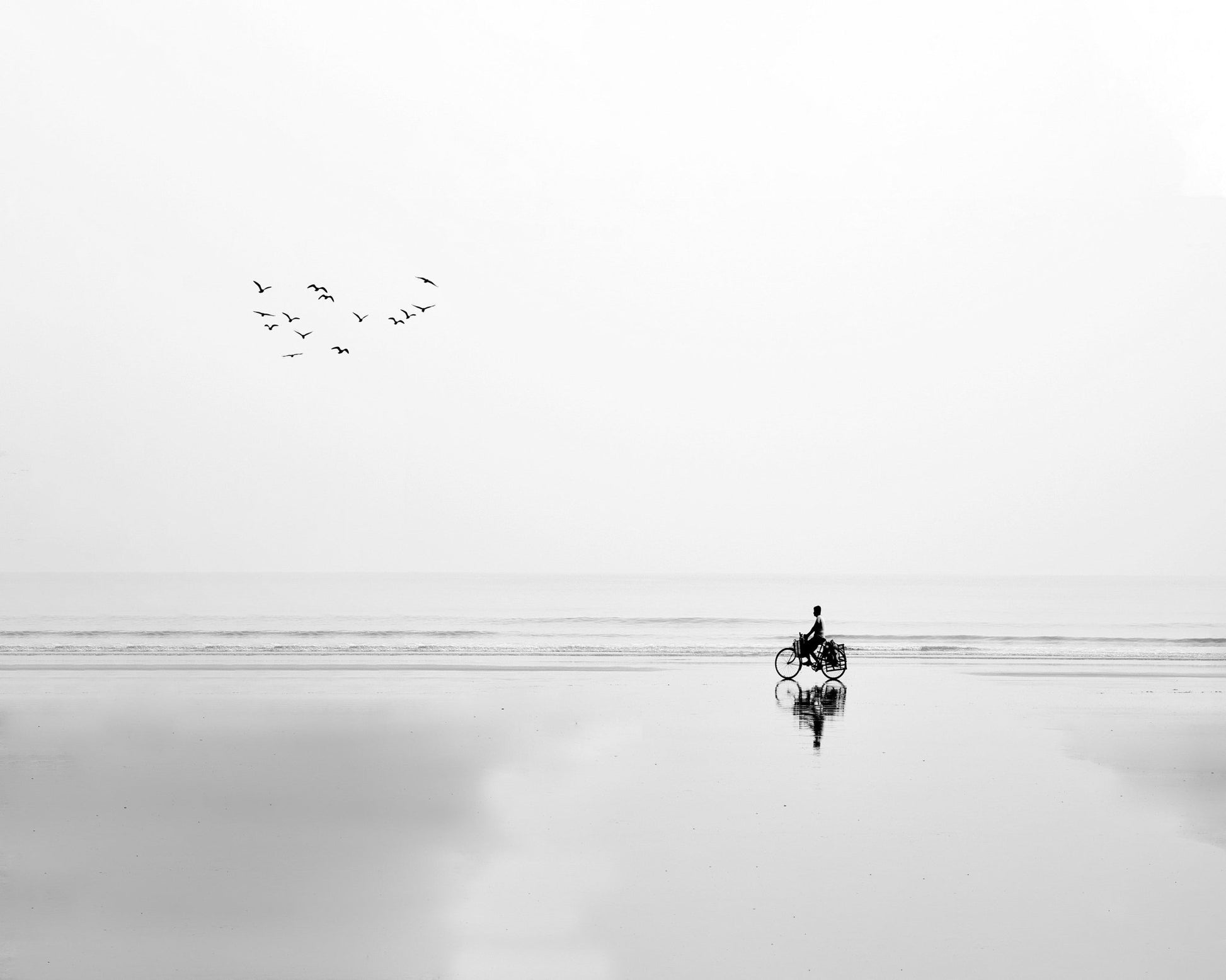 Cycle and the Birds