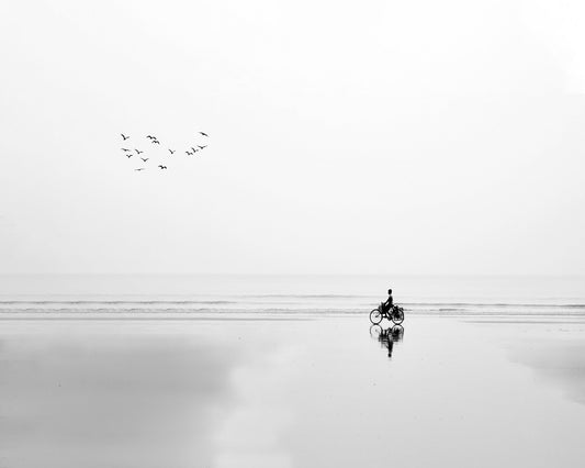 Cycle and the Birds