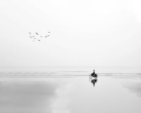 Cycle and the Birds