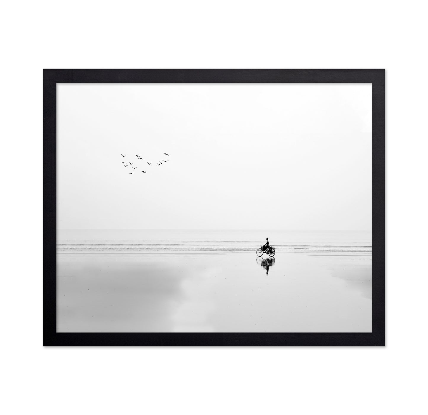 Cycle and the Birds