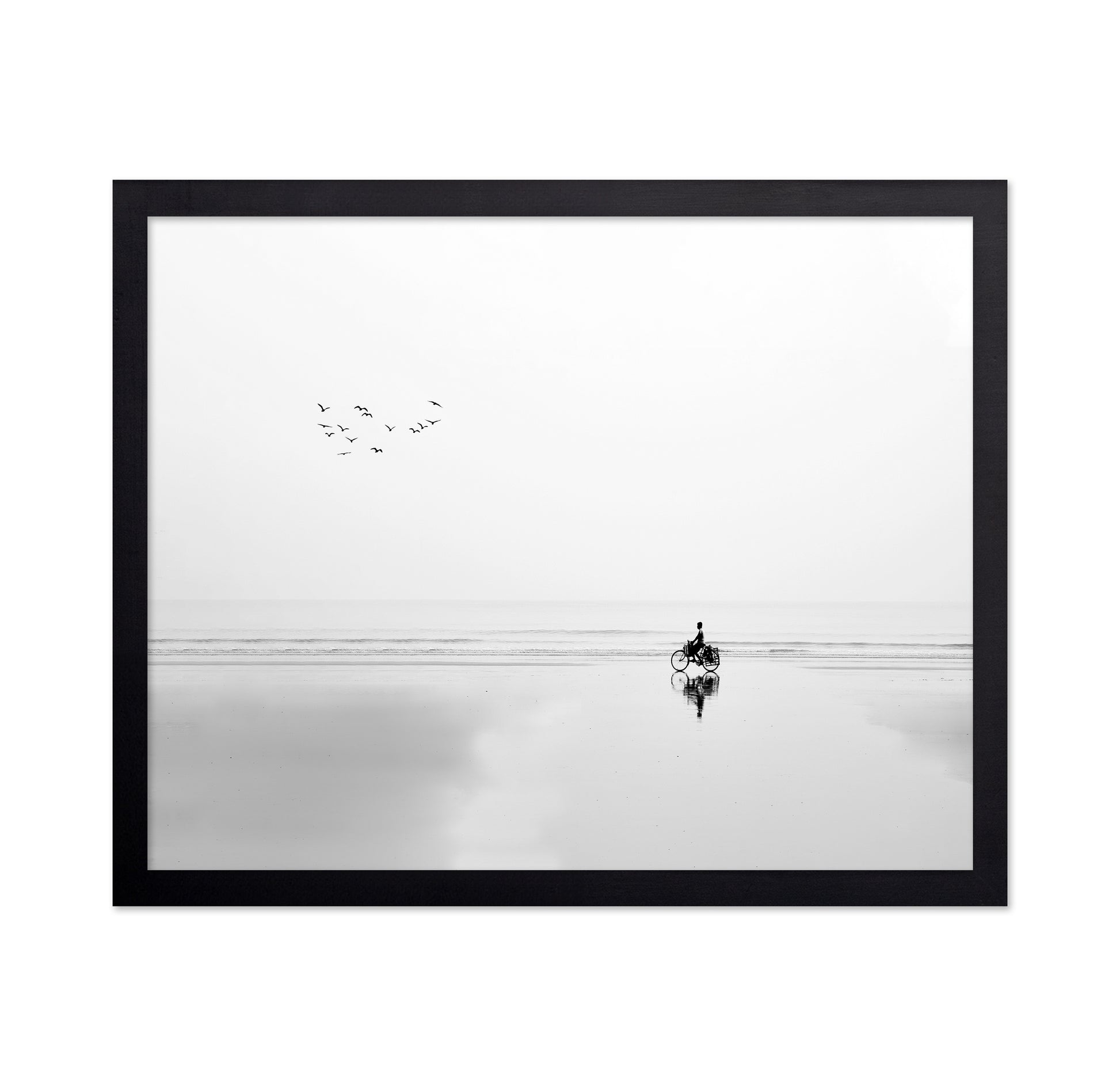 Cycle and the Birds