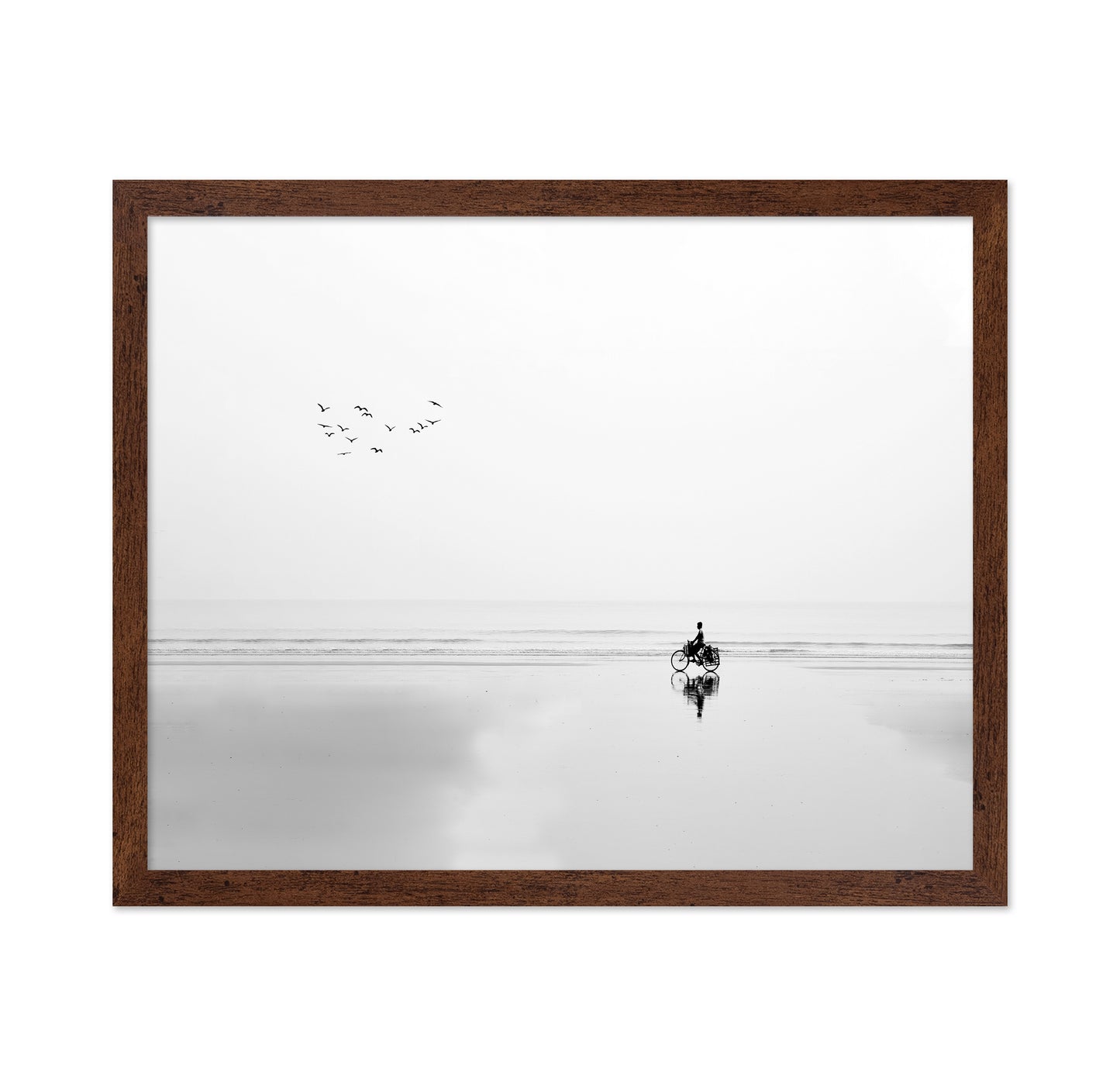 Cycle and the Birds