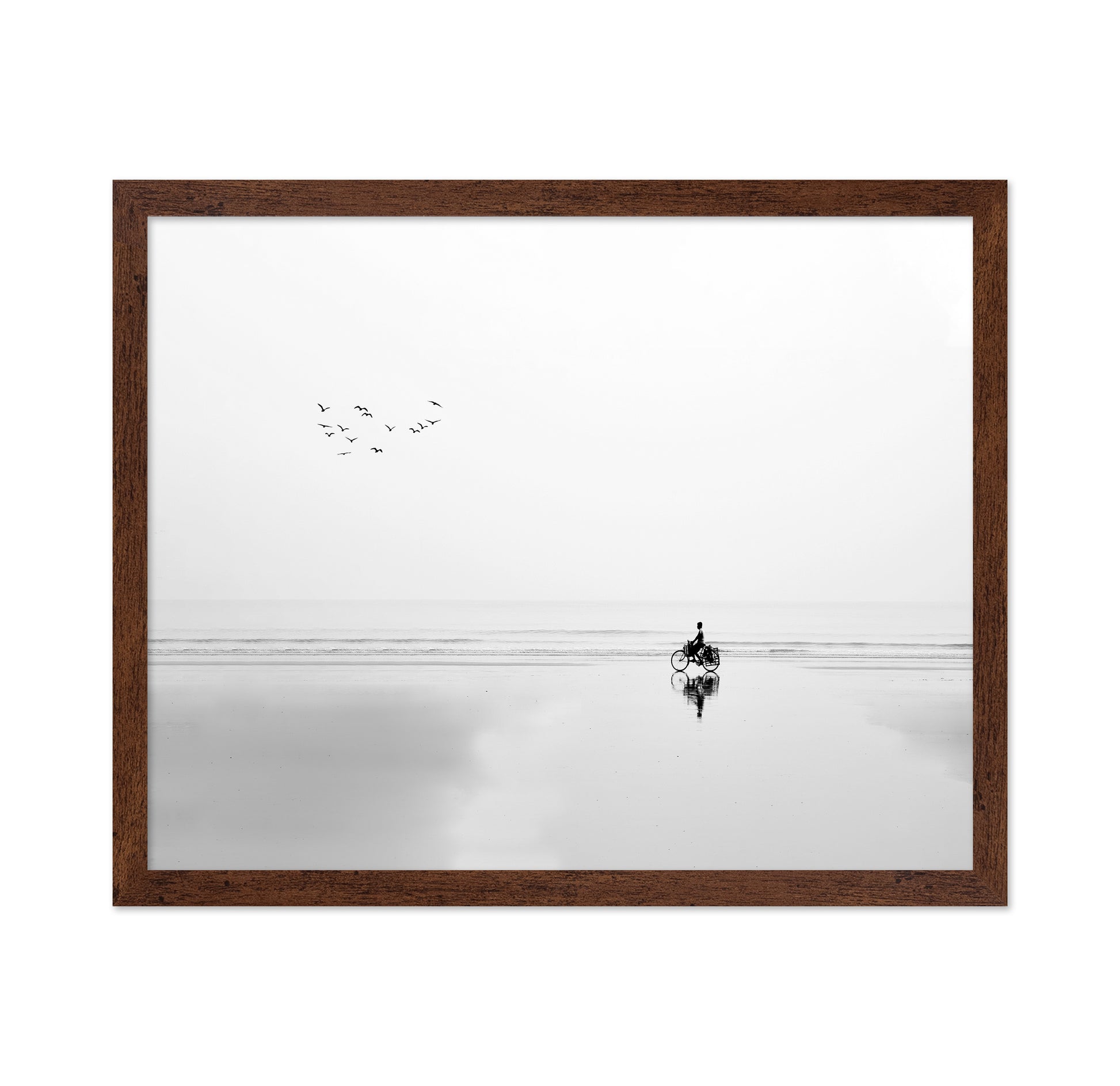 Cycle and the Birds