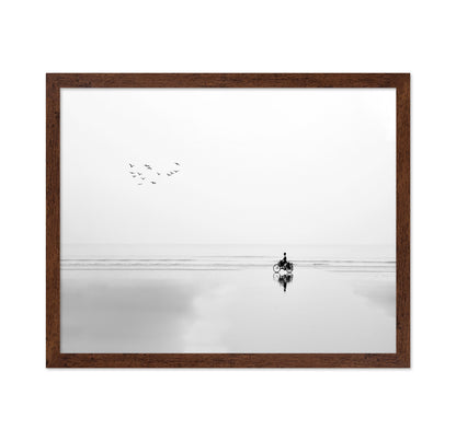Cycle and the Birds