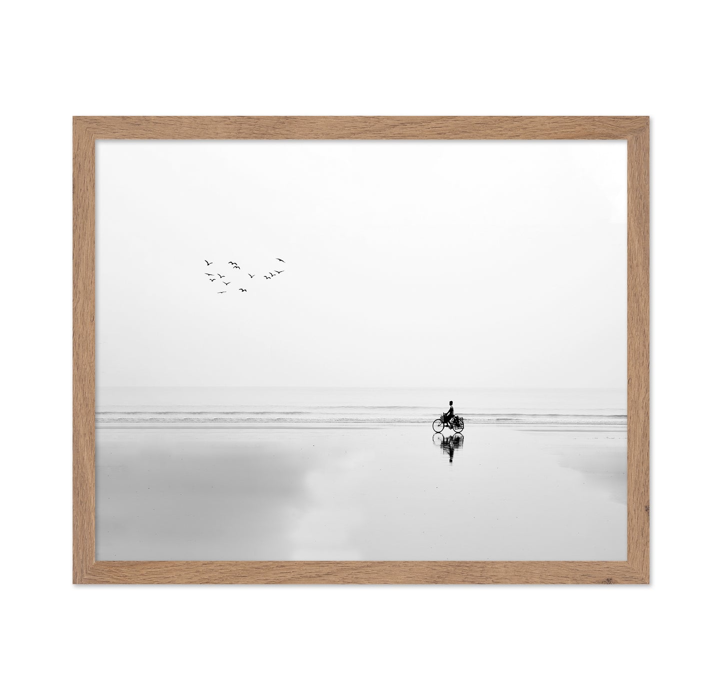 Cycle and the Birds