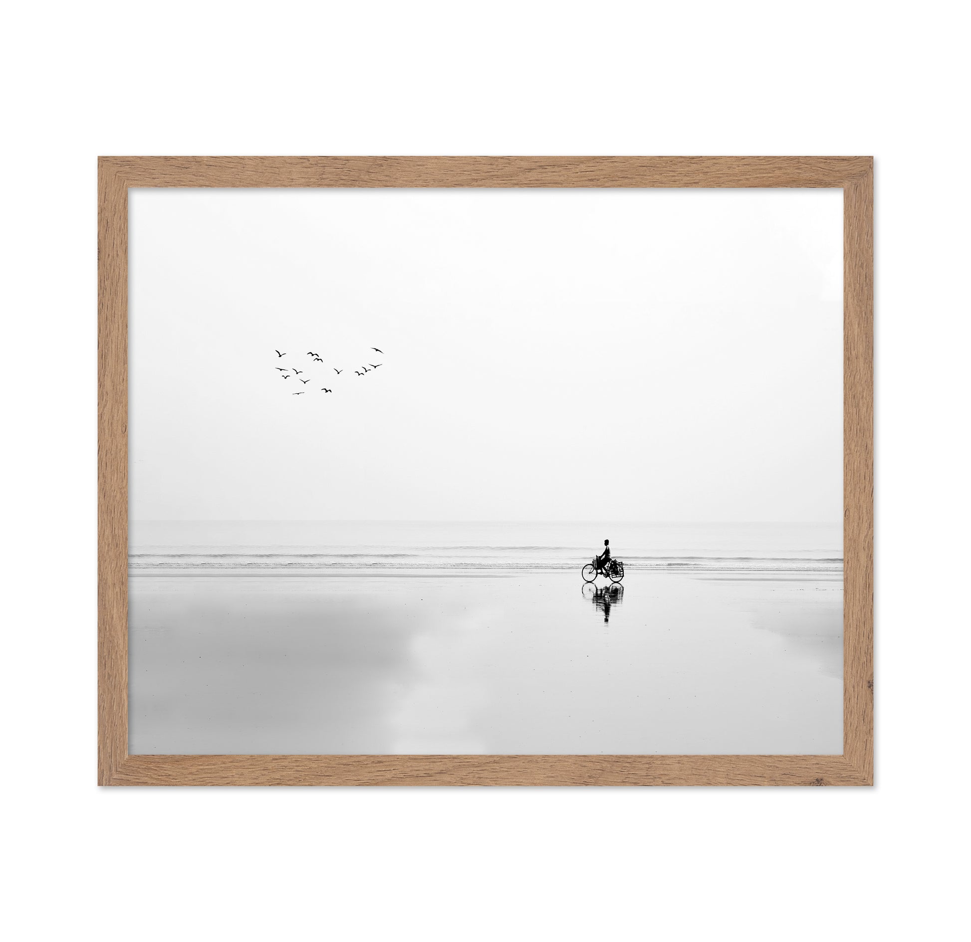 Cycle and the Birds