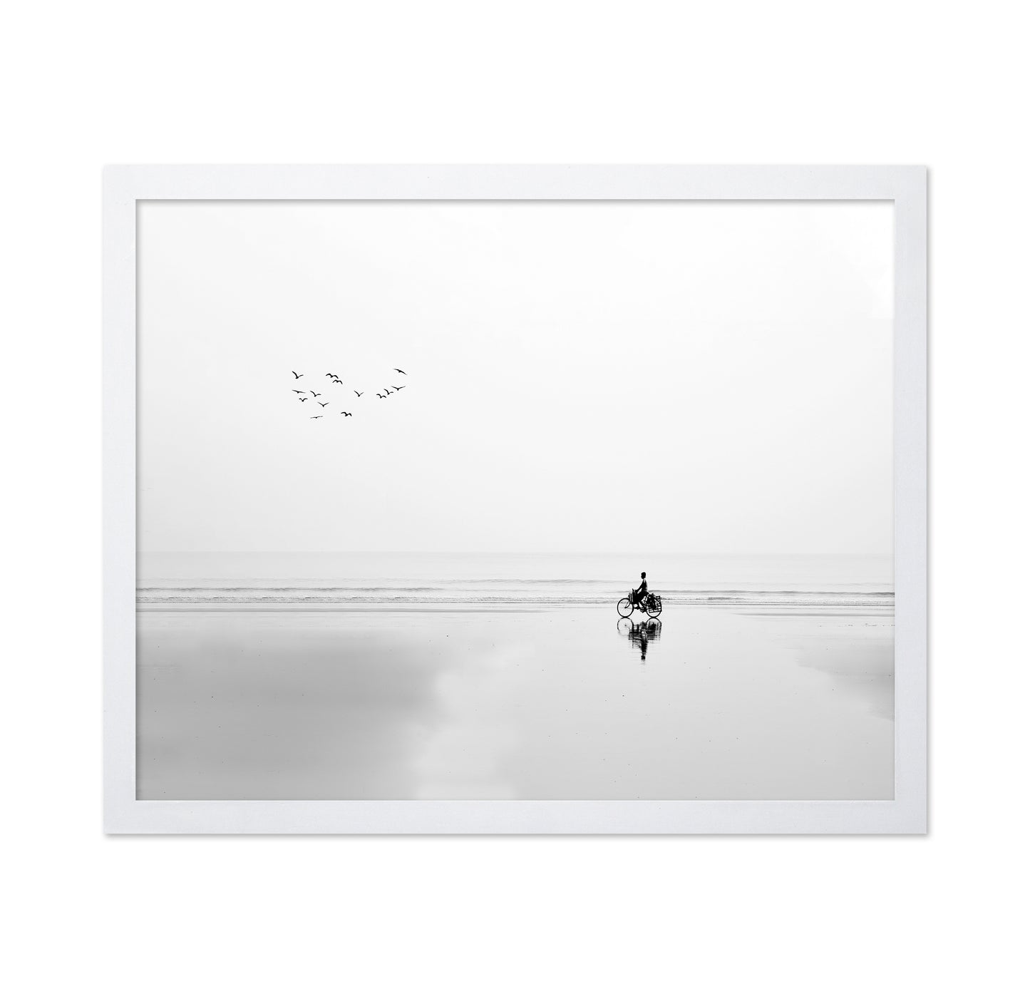 Cycle and the Birds