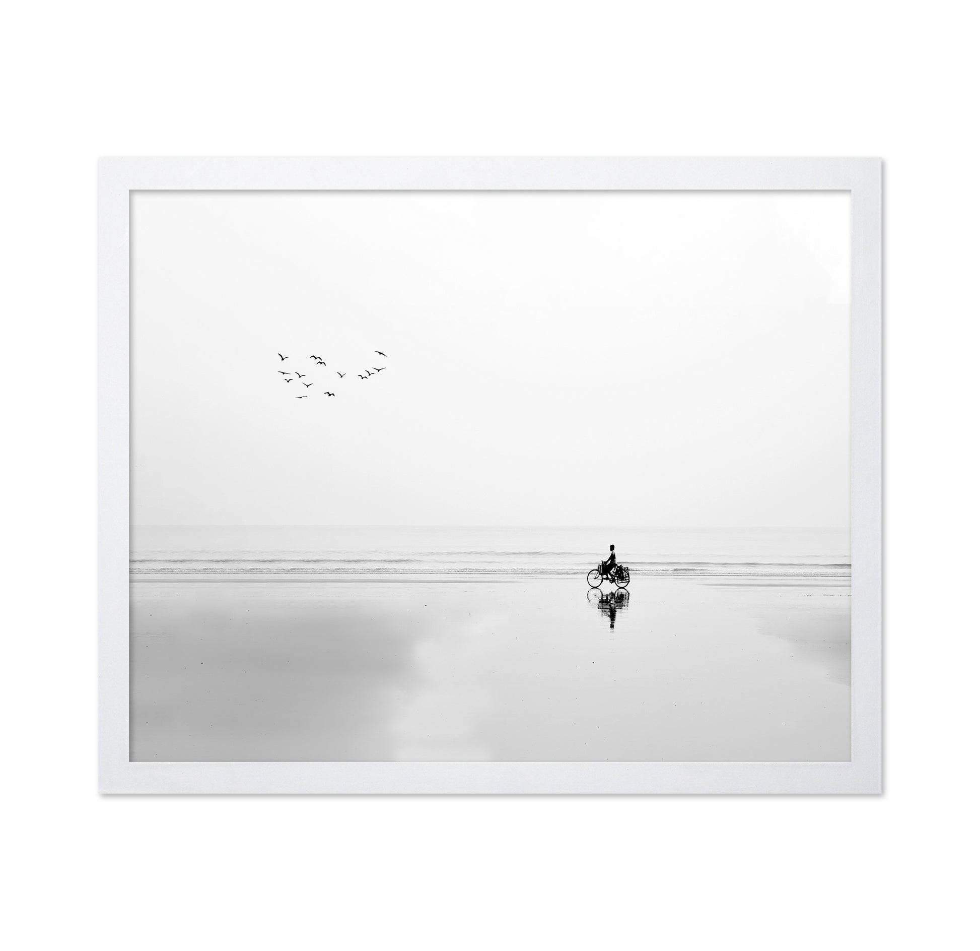 Cycle and the Birds