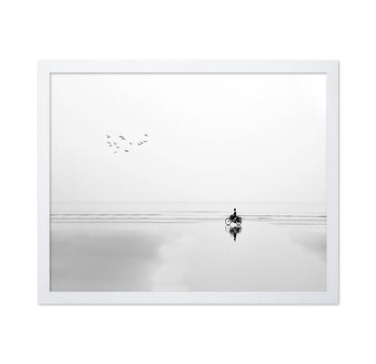 Cycle and the Birds