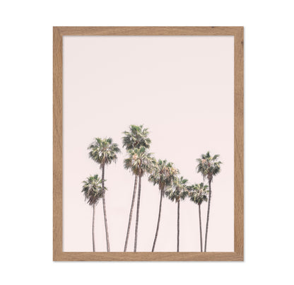 Blush Palms