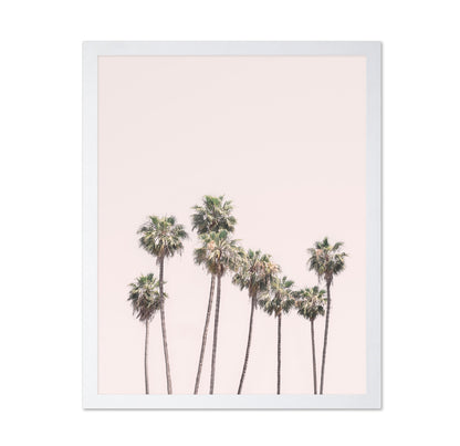 Blush Palms