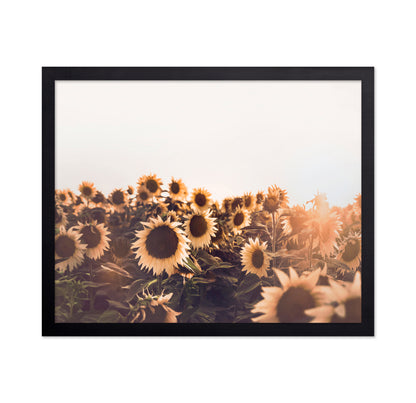 Sunflowers No 2