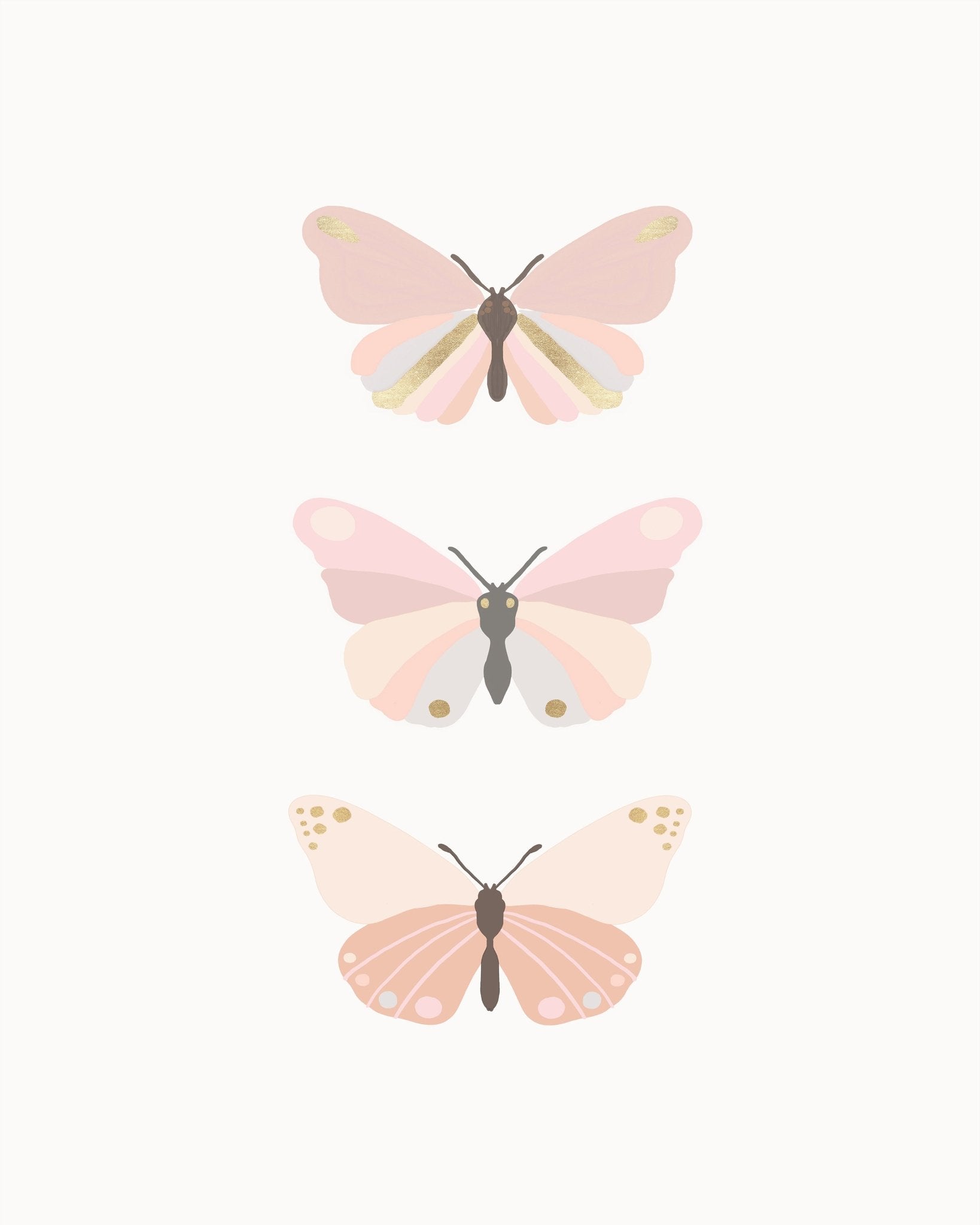 Butterflies Illustration