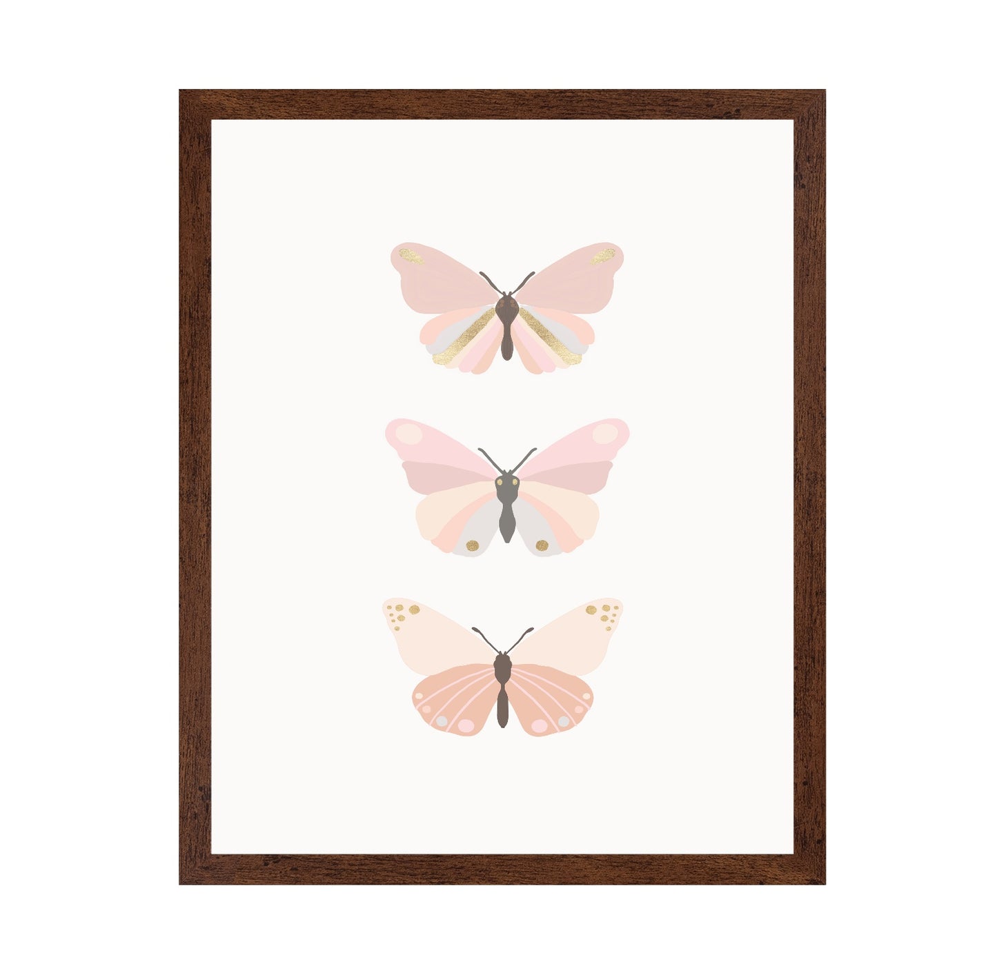 Butterflies Illustration