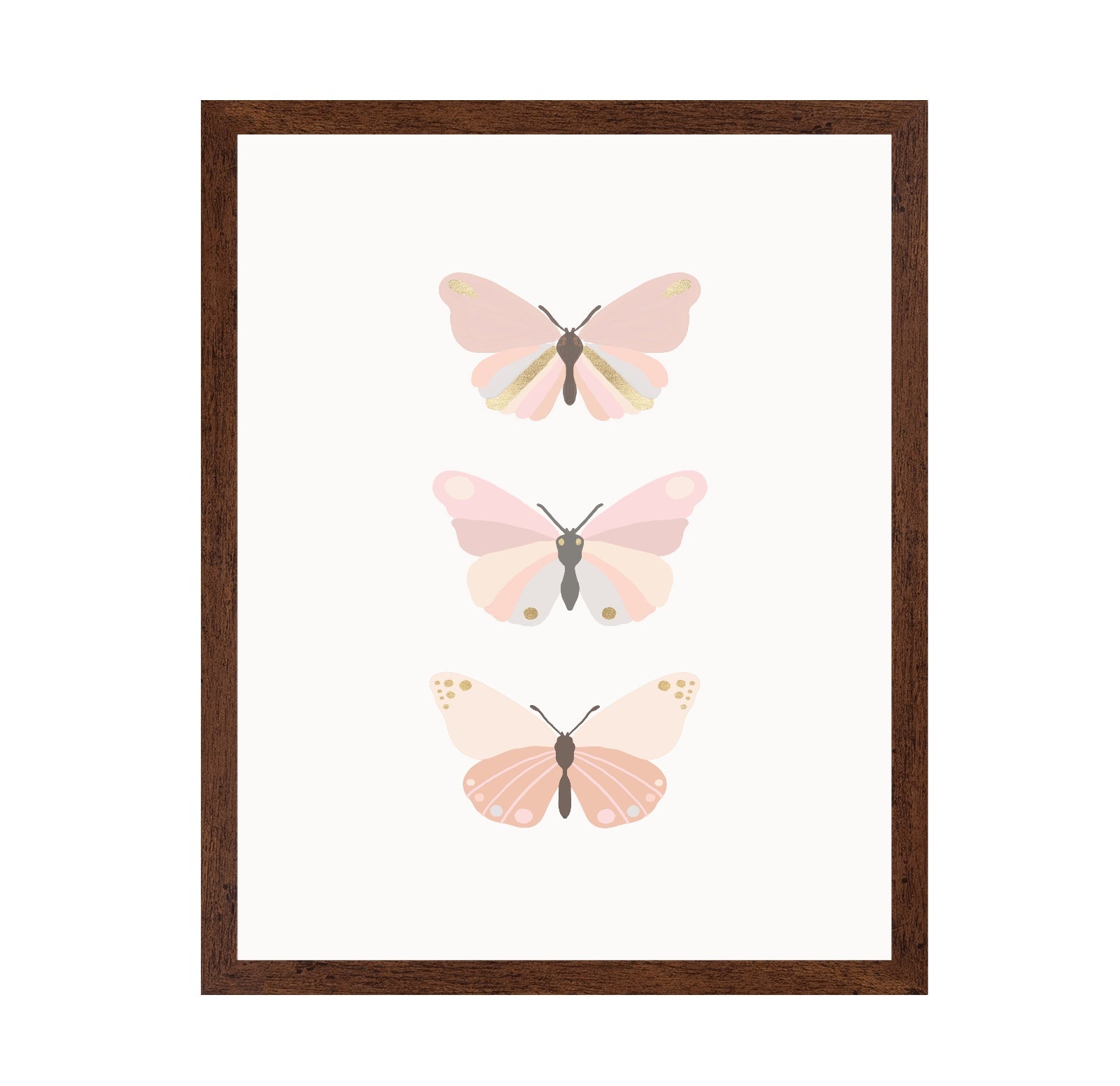 Butterflies Illustration