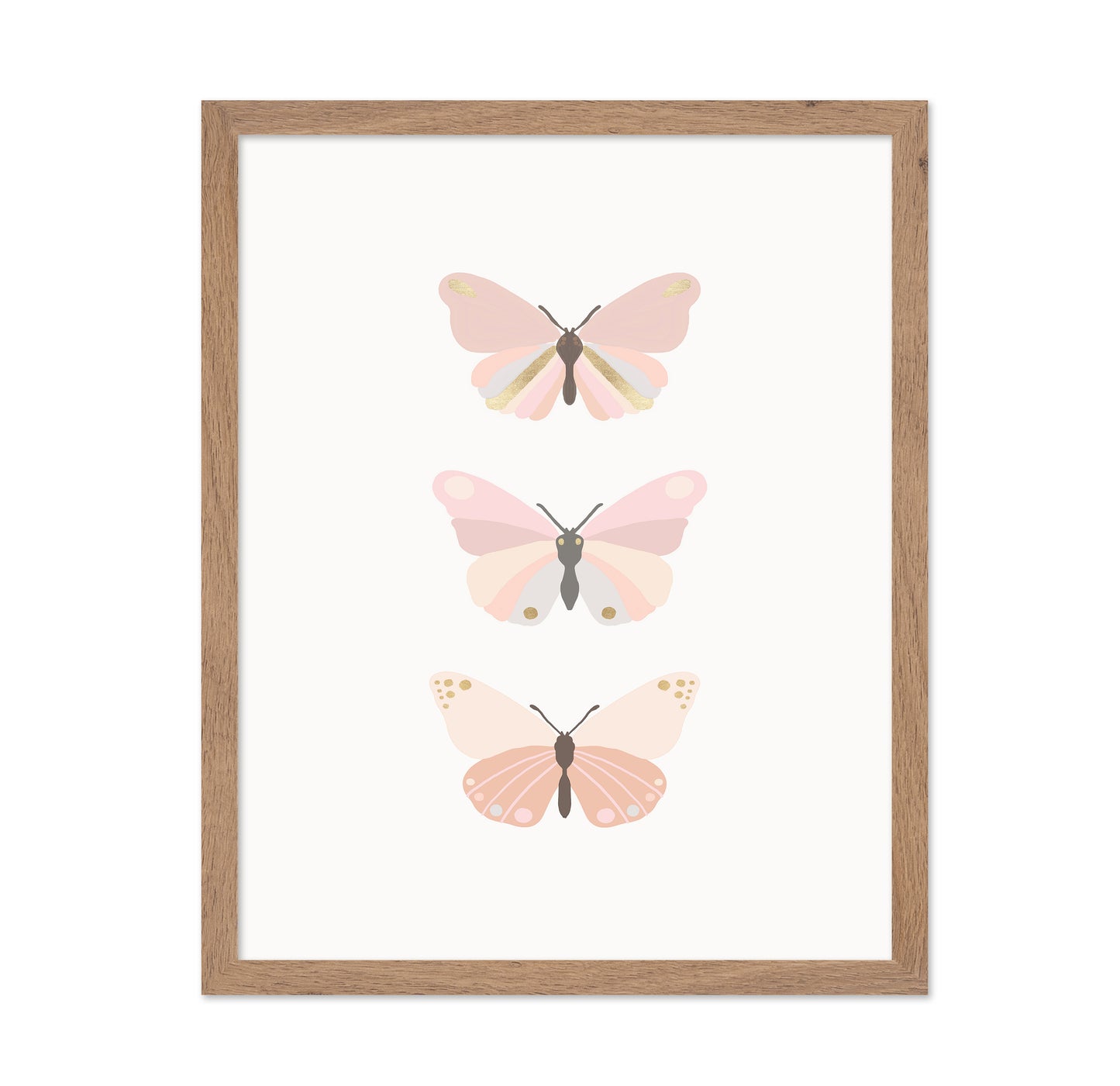 Butterflies Illustration