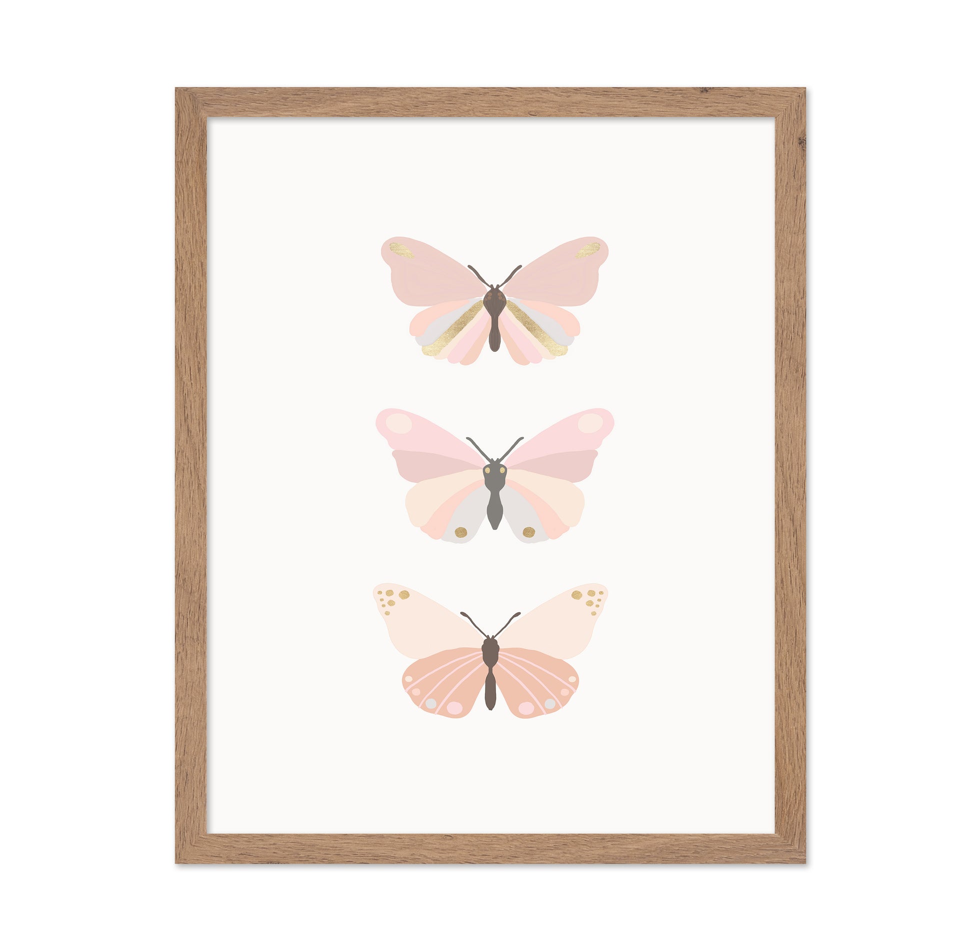 Butterflies Illustration