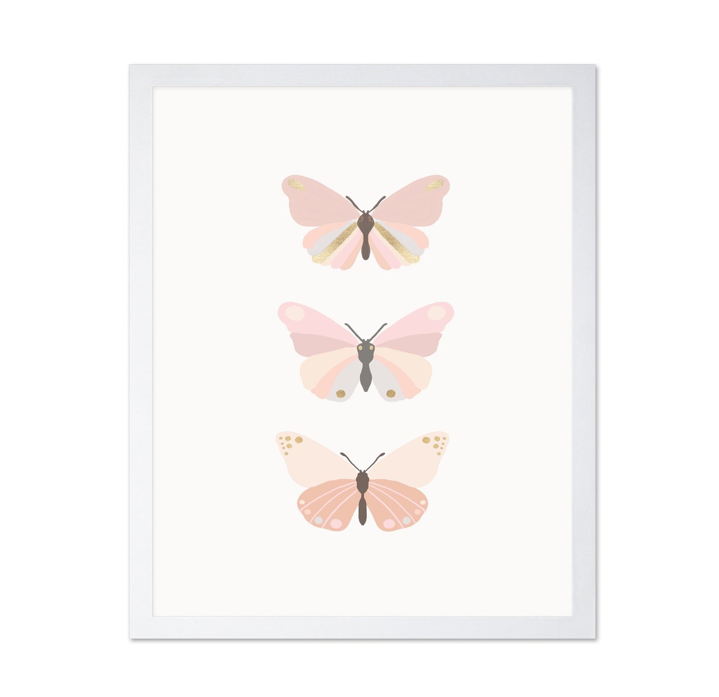 Butterflies Illustration