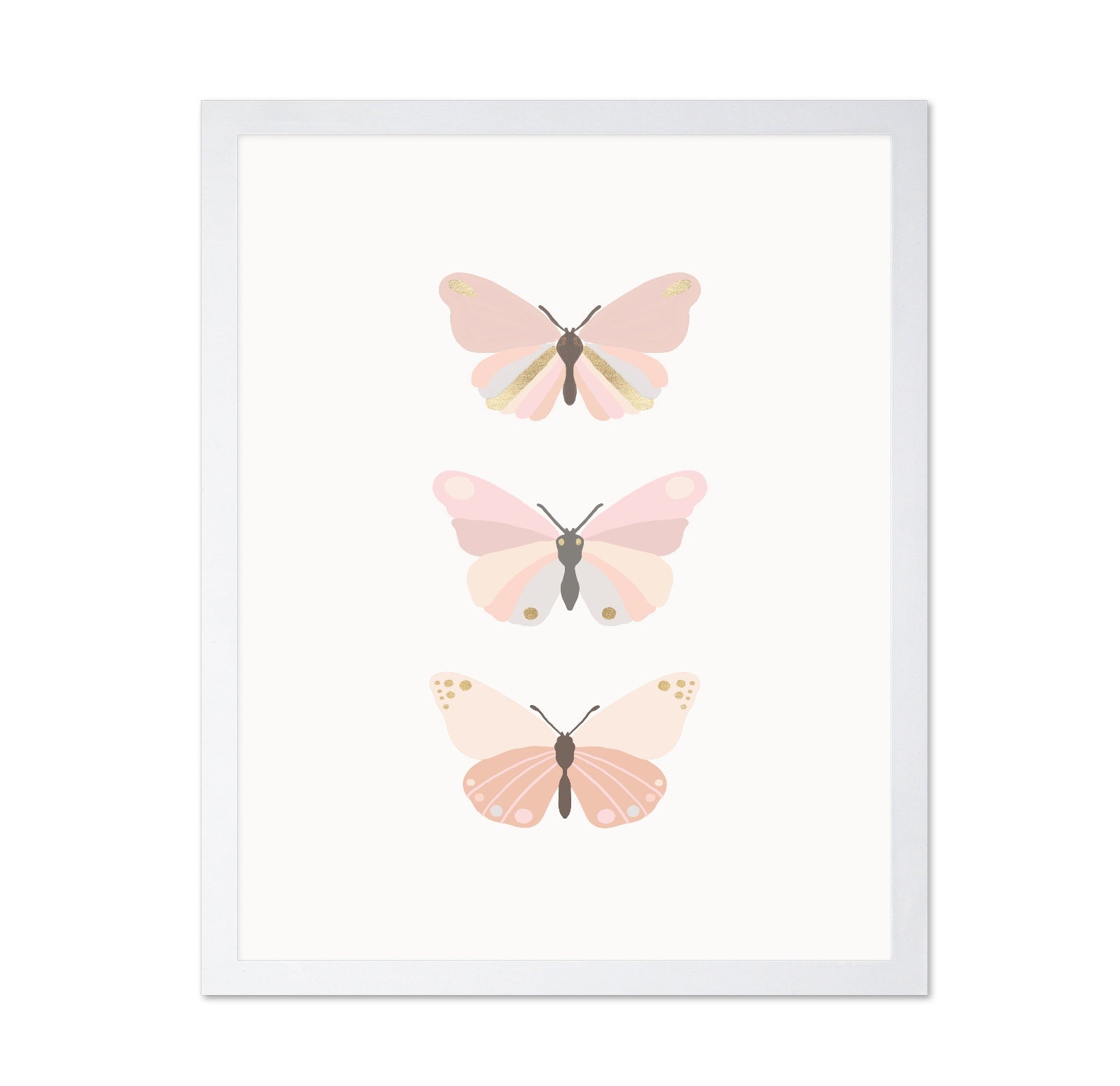 Butterflies Illustration